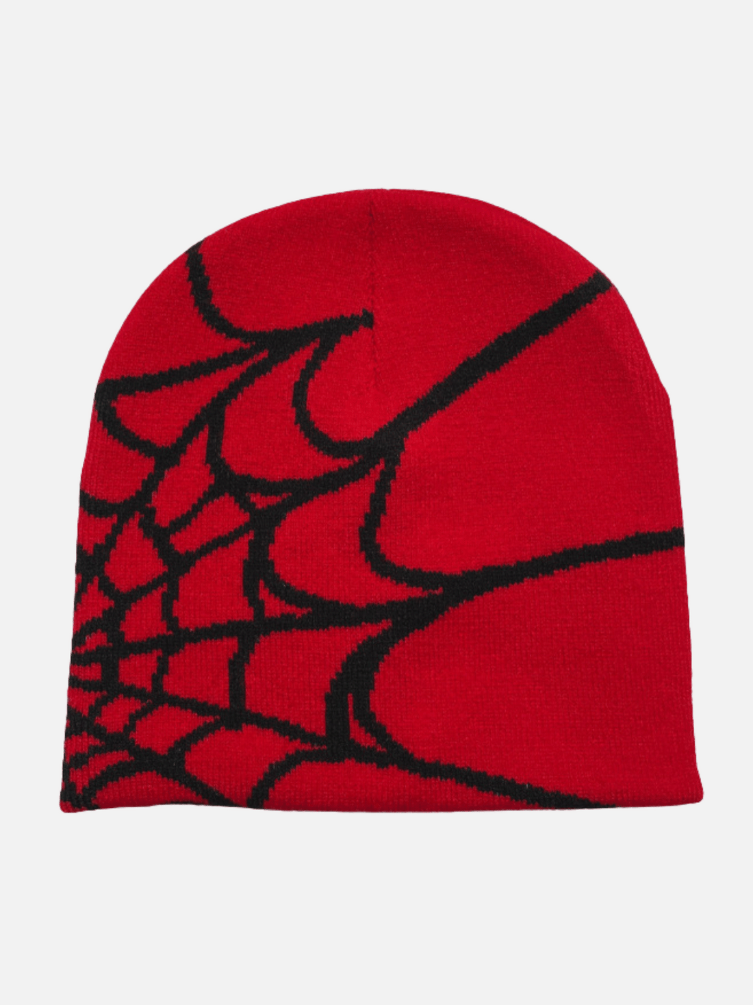 SPIDER - Graphic Beanie Black One Size | Teenwear.eu